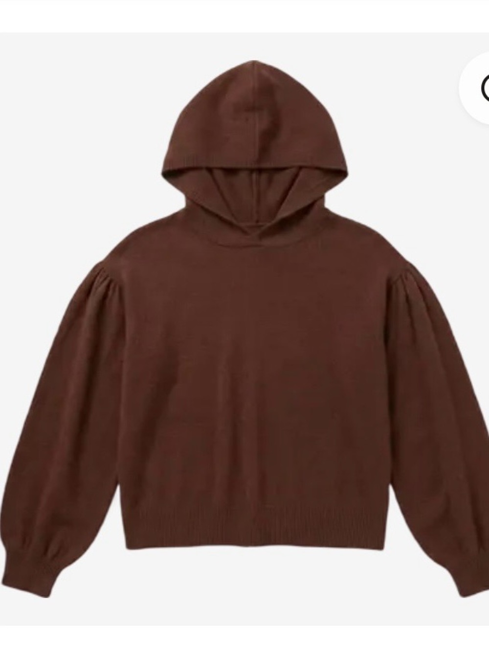 Treasure & Bond Chocolate Brown Hooded Balloon-Sleeve Sweater